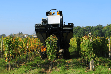 Agro Processing & FMCG - Sorting, grading and packaging automation for agro-processing and fast-moving goods.